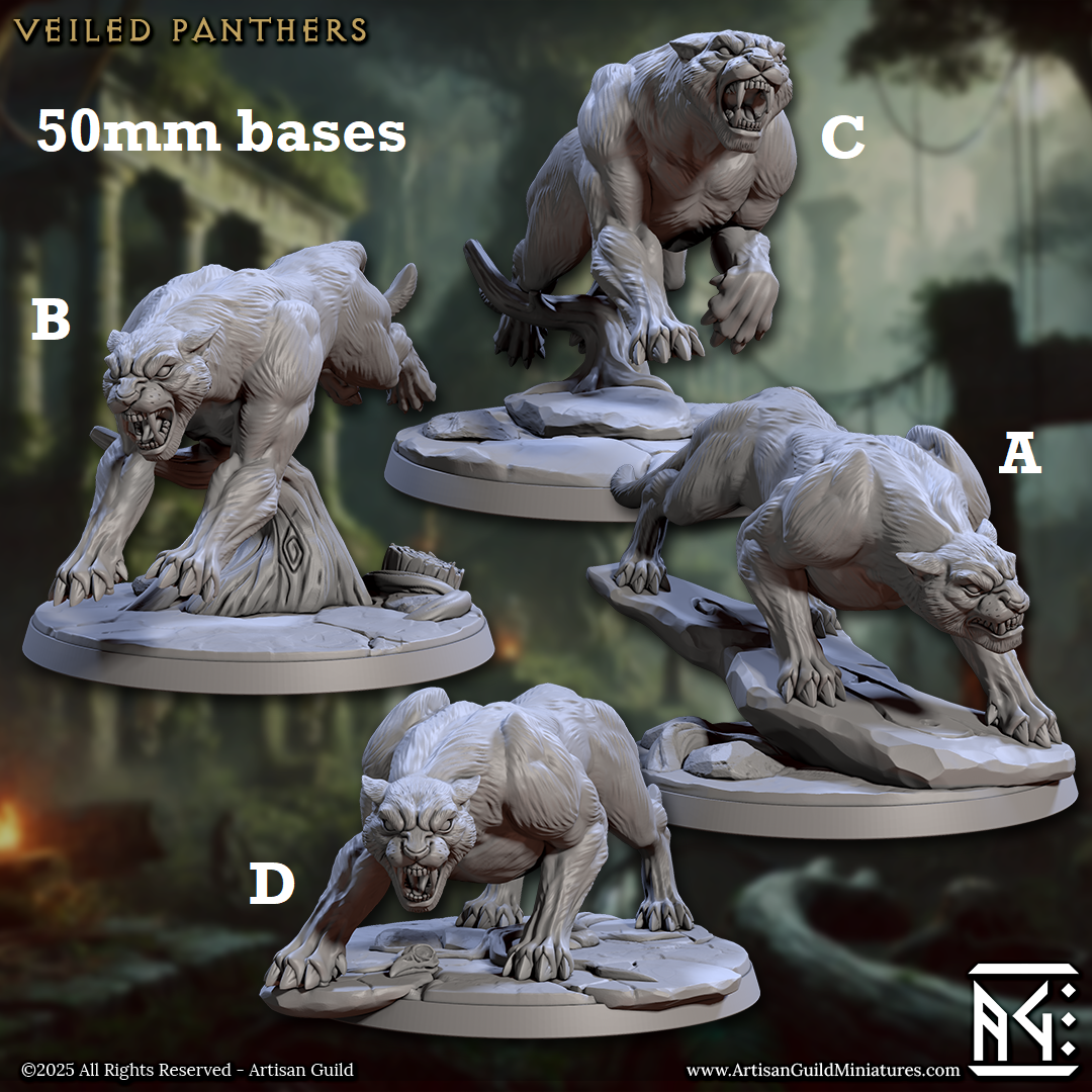 Wild Veiled Panthers -