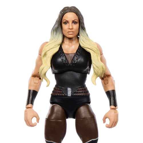 WWE Elite Collection Series 111 Action Figure - Select Figure(s) - Collectors World Toys